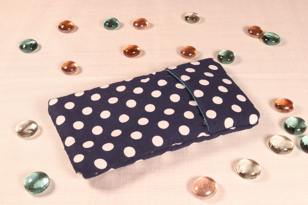 Etui à pois bleus