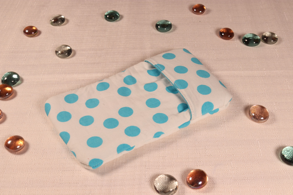 Etui à pois bleus
