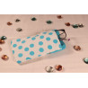 Etui à pois bleus